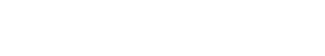 vinylus