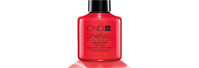 shellac