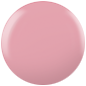 PACIFIC ROSE
