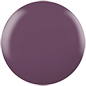Mulberry Tart