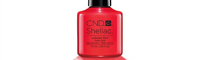 shellac